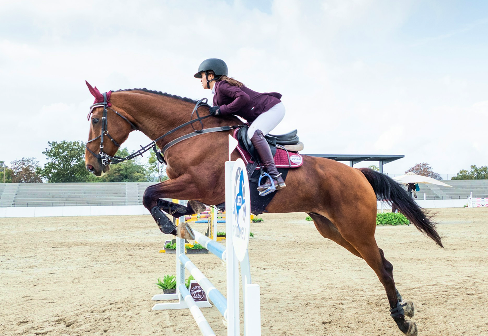 From Horses to Horsepower: How CREE8 Enables Live Sports